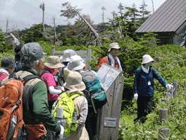 山野草教室イメージ写真