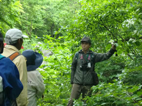初夏の自然観察会～豊沢ダム周辺・平塚の森～のようす