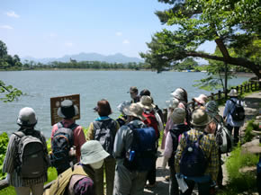 初夏の自然観察会～高松の池公園～のようす