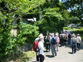 初夏の自然観察会～高松の池公園～のようす