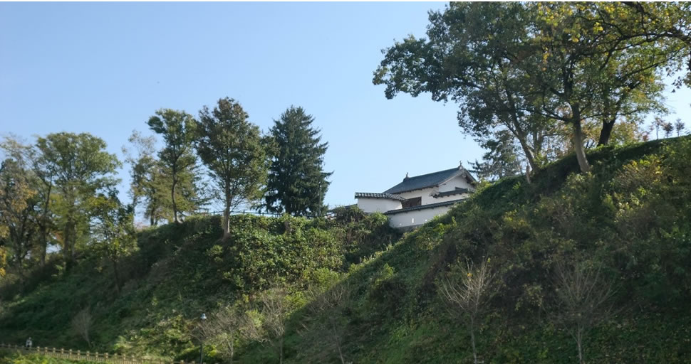 新緑の愛宕公園