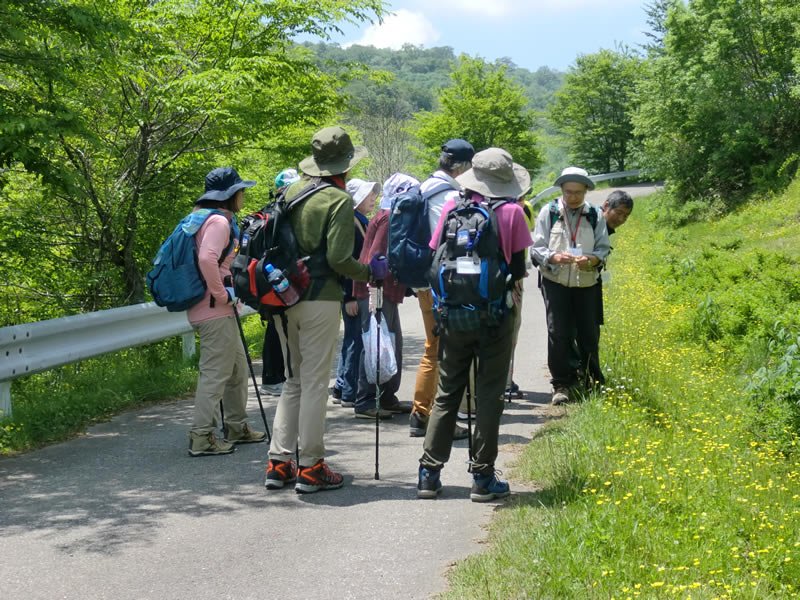 初夏の山野草教室～櫃取湿原〜のようす