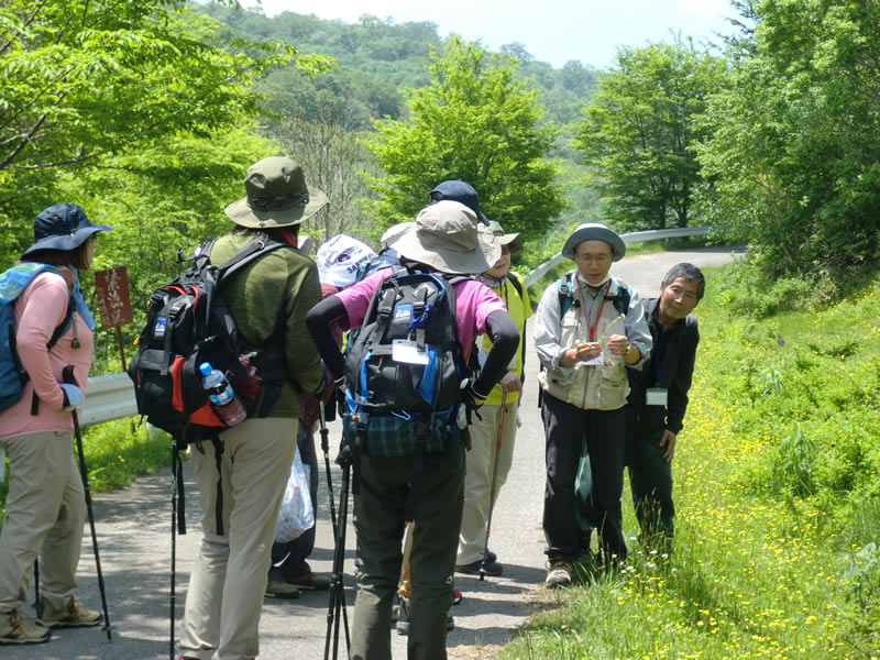 初夏の山野草教室～櫃取湿原〜のようす