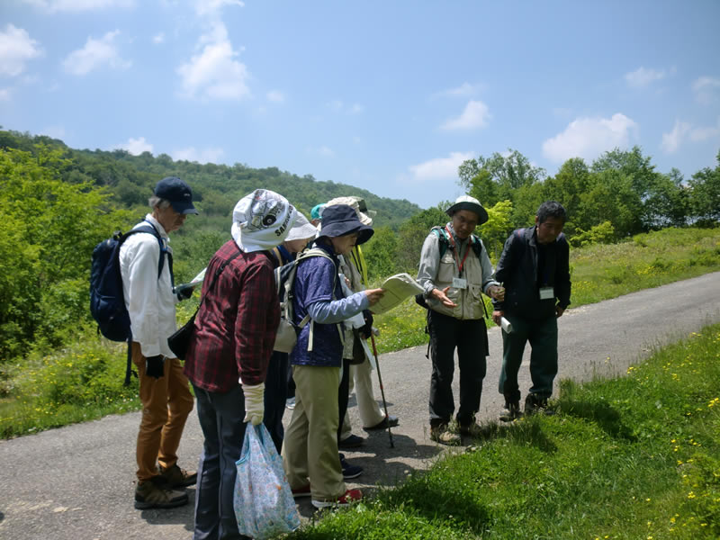 初夏の山野草教室～櫃取湿原〜のようす