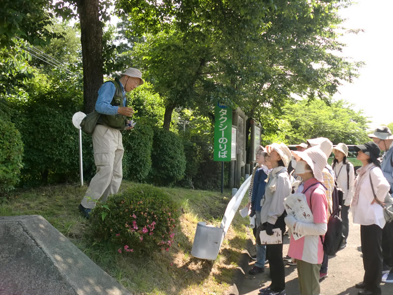 新緑の胡四王山を歩こう！のようす