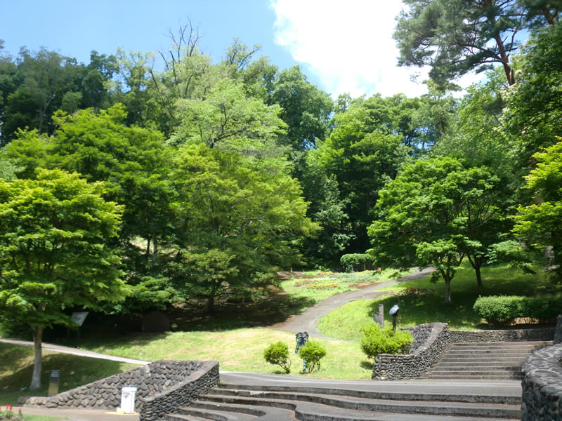 新緑の胡四王山を歩こう！のようす