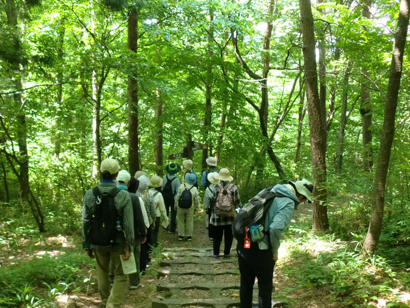 新緑の胡四王山を歩こう！のようす