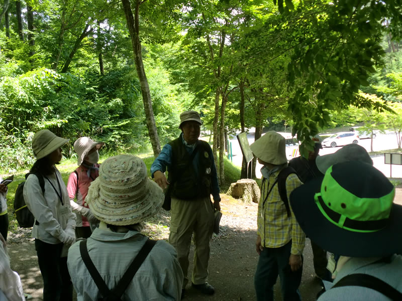 新緑の胡四王山を歩こう！のようす