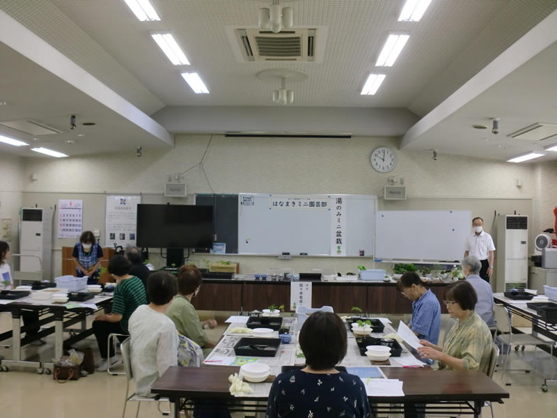 はなまきミニ園芸部(1)　「湯のみミニ盆栽」のようす