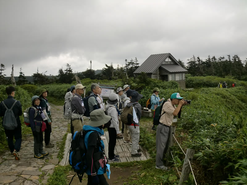 晩夏の山野草教室～八幡沼〜のようす