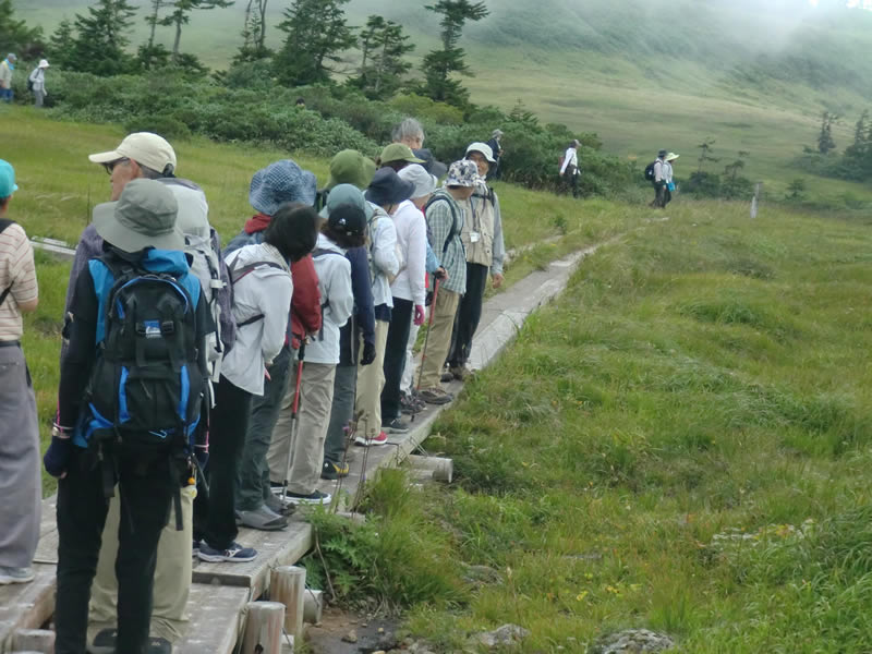 晩夏の山野草教室～八幡沼〜のようす