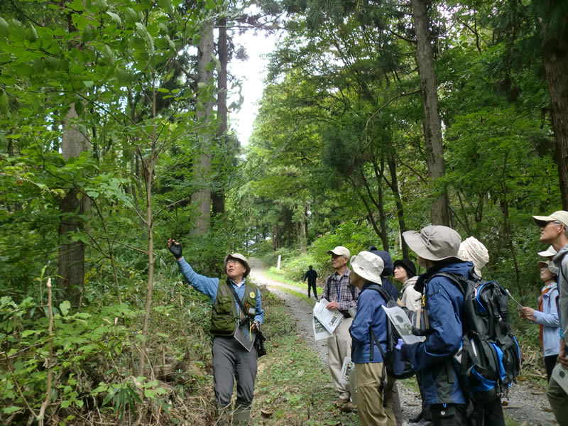 秋の胡四王山を歩こう