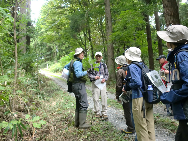 秋の胡四王山を歩こう