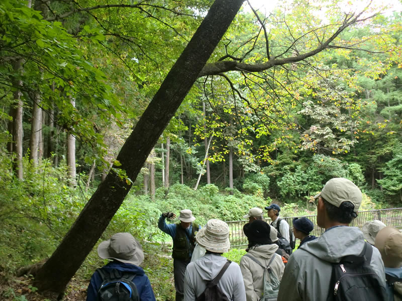 秋の胡四王山を歩こう