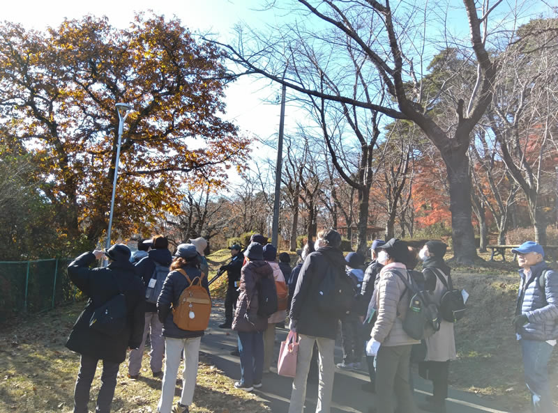 冬の自然観察会～高松公園と県立美術館〜