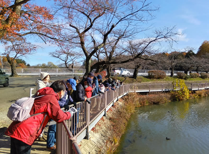 冬の自然観察会～高松公園と県立美術館〜