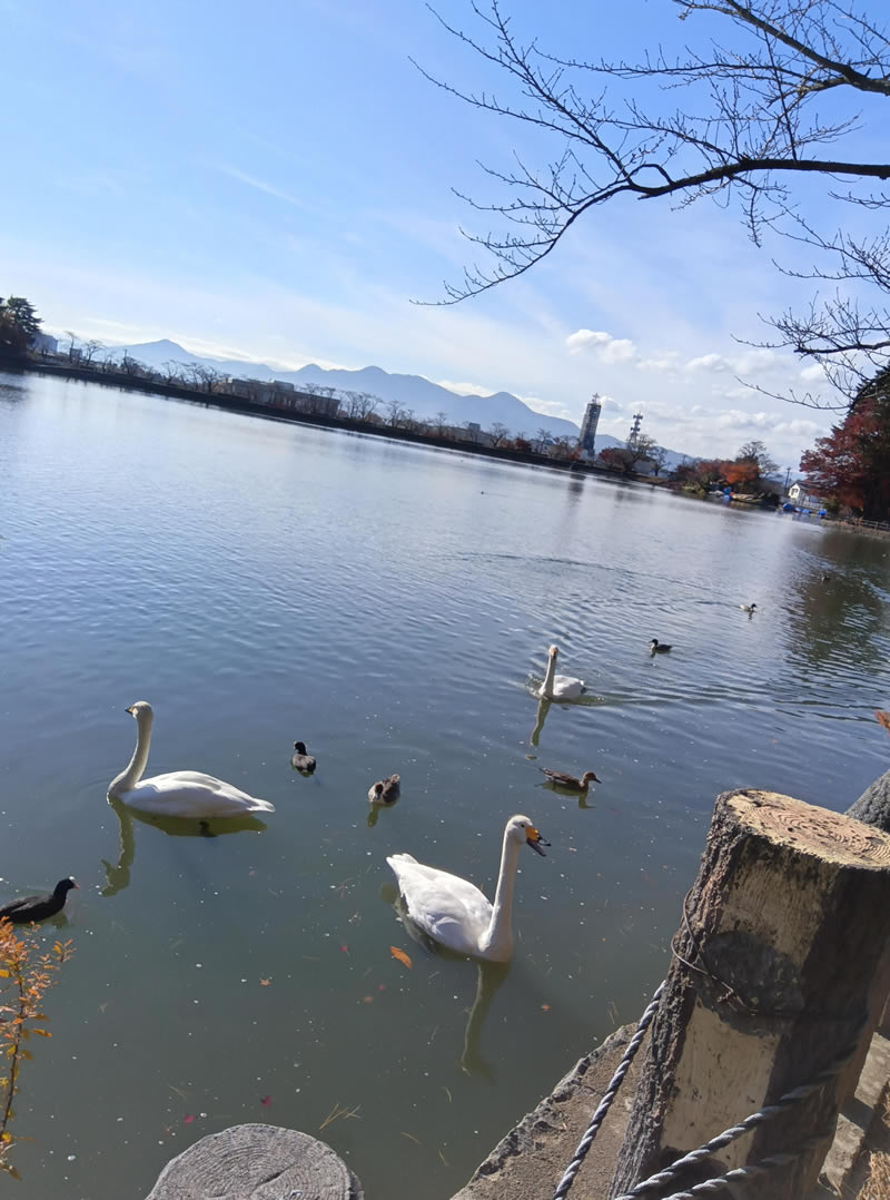 冬の自然観察会～高松公園と県立美術館〜