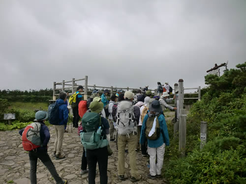 初夏の自然観察会