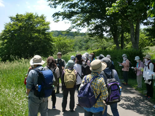 夏の自然観察会