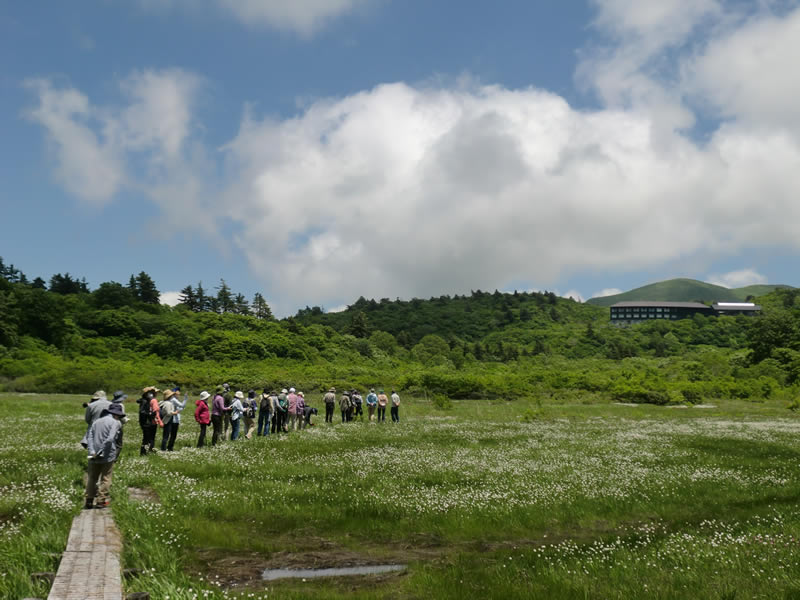 初夏の自然観察会