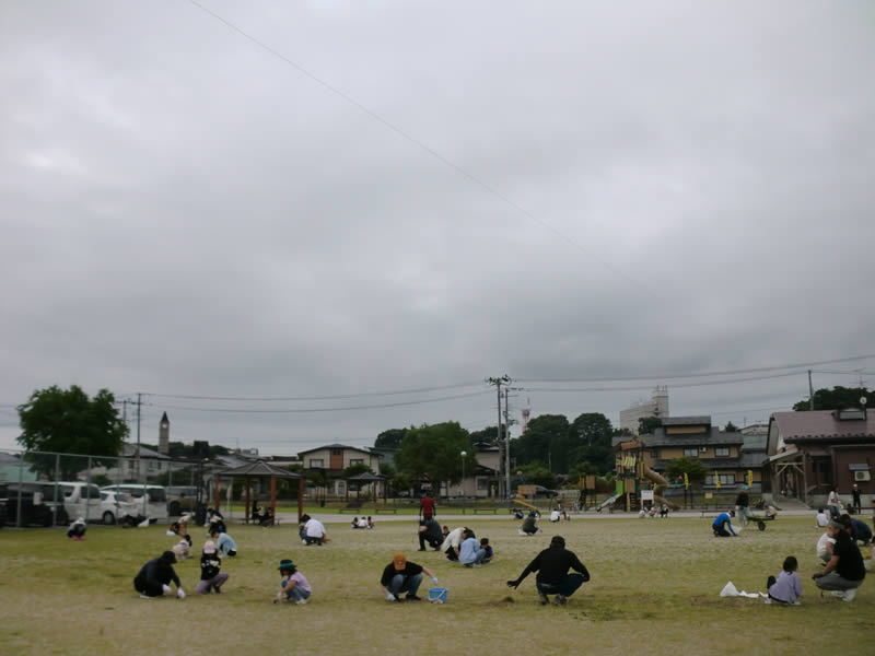 愛宕公園グラウンド草取り