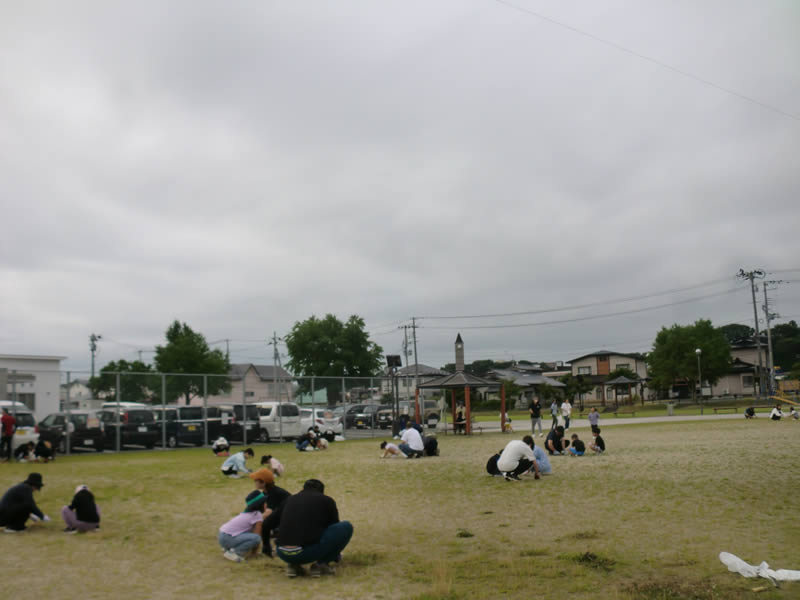 愛宕公園グラウンド草取り