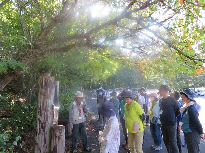 秋の自然観察会～県民の森～
