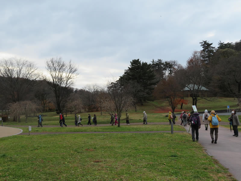 冬の自然観察会～高松公園と野鳥のお話～